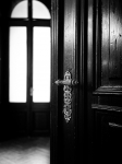 CF015829Andrassy-21-