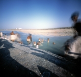 Dwarka